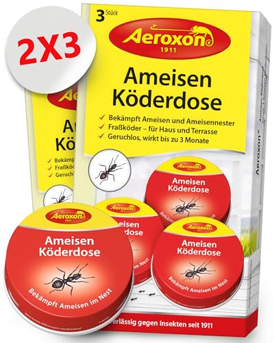 Aeroxon Ameisenköderdose für Innen (6 Dosen)– Ameisenfalle