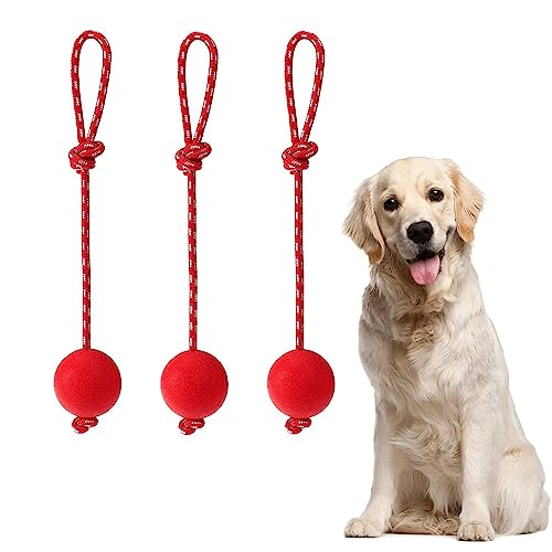 Taicols 3 Stück Elastische Hundespielzeug Ball mit Seil