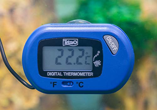 Aquarium Thermometer & Tipps für die perfekte Wasser-Temperatur - StrawPoll