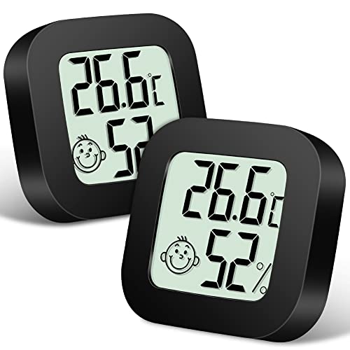 flintronic Mini LCD Thermometer