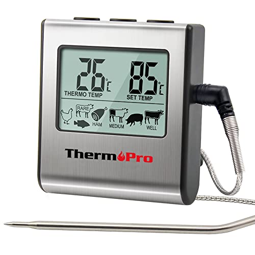 Wofür Fleisch- und Backofen-Thermometer?