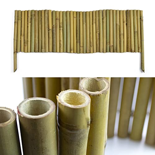 Floordirekt Bambus Beetumrandung