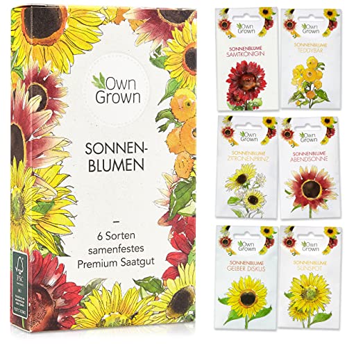 OwnGrown Sonnenblumen Samen Set : Sonnenblumen