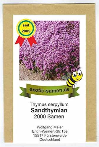 Bodendecker unserer Wahl: exotic-samen Sandthymian – Thymus serpyllum – hervorragender