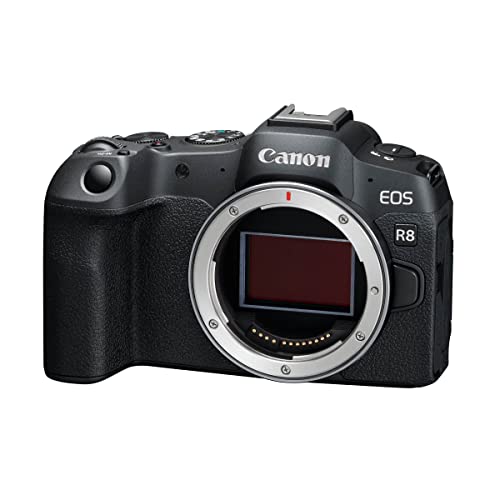 Canon EOS R8 Systemkamera