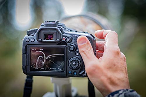 Canon Spiegelreflexkamera im Bild: Canon EOS 90D Spiegelreflexkamera