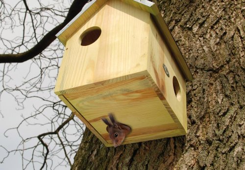 Eichhörnchenhaus im Bild: Esschert Design Futterhaus, Futterstation für Eichhörnchen mit Metalldach