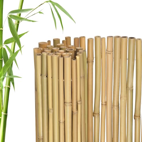 jarolift Premium Sichtschutzmatte Bambus