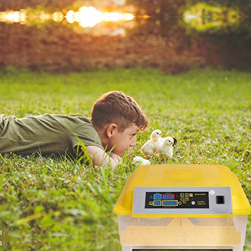 Geflügel-Inkubator im Bild: Eloklem Brutautomat Vollautomatisch Inkubator
