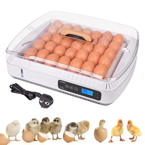 MUALROUS 35 Eier Inkubator für Bruteier