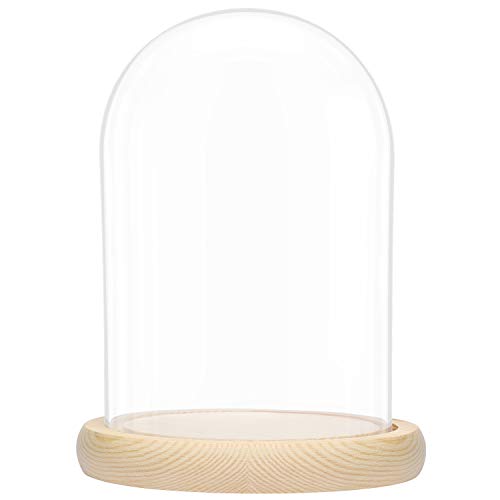 BELLE VOUS Glas Glocke Glaskuppel Groß mit Holzboden
