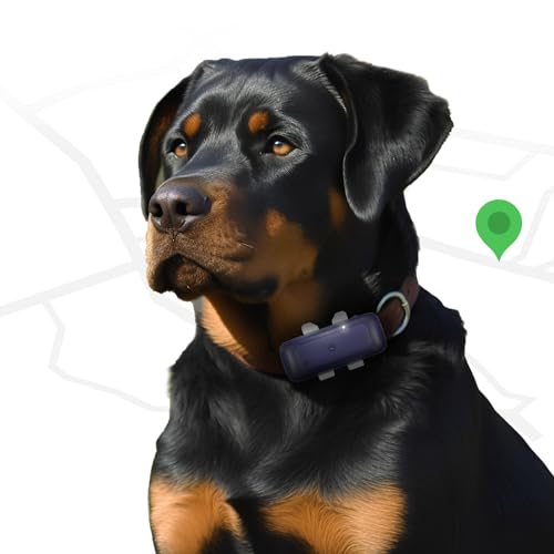 SEEWORLD P1 GPS Katze Hund Tracker