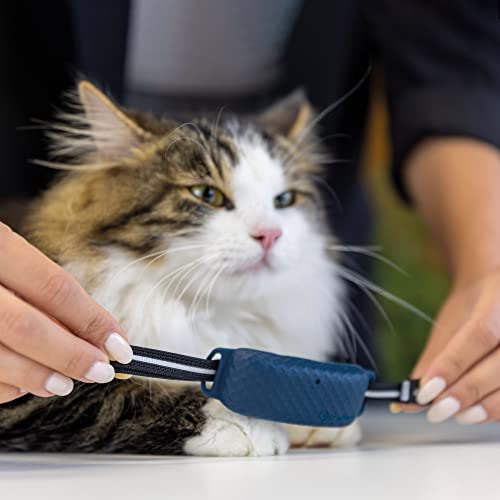 GPS für Katzen im Bild: Tractive GPS CAT 4 Halsbandbefestigung x3