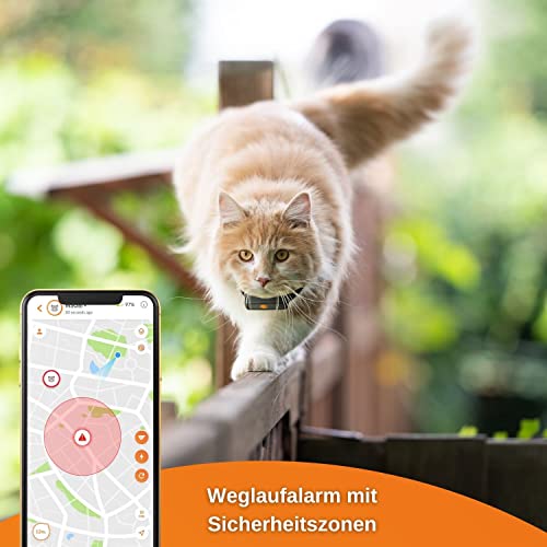 GPS für Katzen im Bild: Weenect XS für Katzen