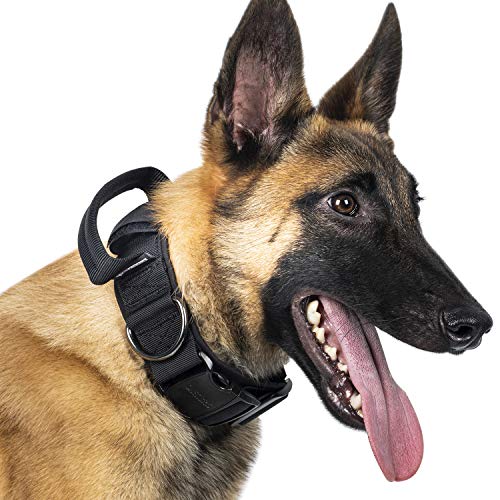 OneTigris Hunde Halsband mit Metallschnalle für Hunde