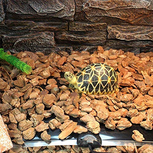 Terrarium Heizmatte im Bild: PeSandy Reptil Heizmatten
