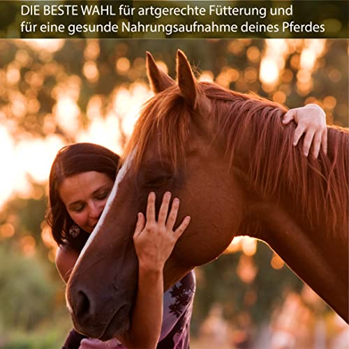 Heusack im Bild: Pferdelinis Heusack für Pferde Heutasche