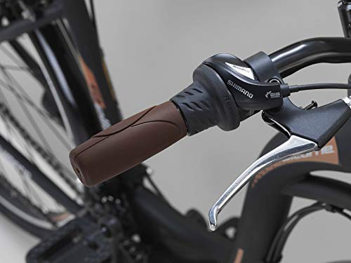 Hollandrad im Bild: Licorne Bike Stella Premium City Bike in 24,26 und 28 Zoll