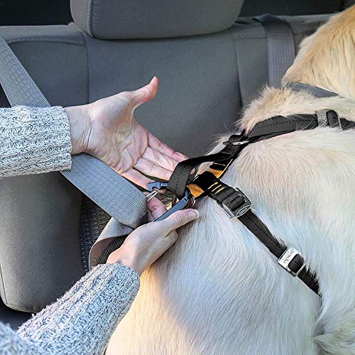 Hunde Auto Sicherheitsgeschirr im Bild: Kurgo Tru-Fit Hundegeschirr