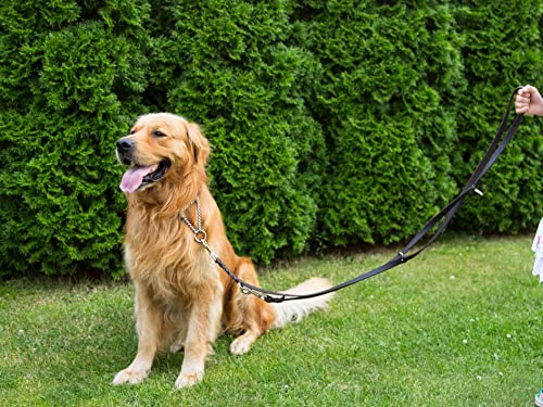 Hunde Lederleine im Bild: CopcoPet Fettlederleine für Hunde – 3-Fach