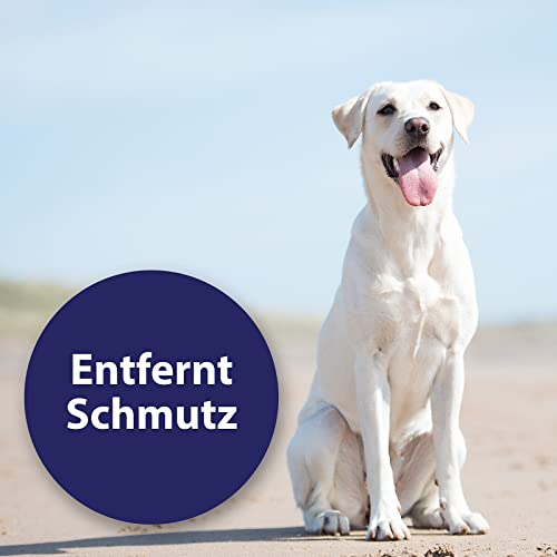 Hunde Ohrenreiniger im Bild: Canosept Ohrreiniger für Hunde 1...