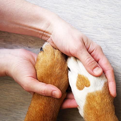 Hunde Pfotenschutz im Bild: Canosept Pfotenpflege für Hunde 75g