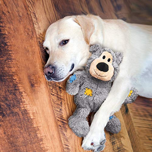 Hund Plüschspielzeug im Bild: KONG Wild Knots Bear – Innere