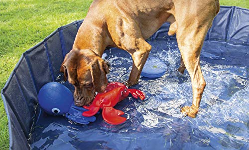 Hund Schwimmspielzeug im Bild: Karlie Neopren Hundespielzeug L:...