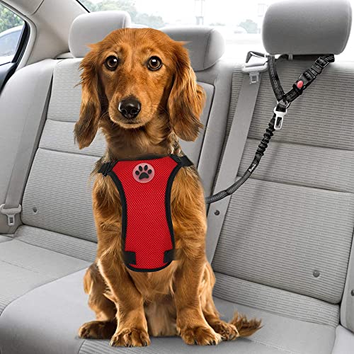 BOTC Sicherungsgurt Hunde Auto Sicherheitsgurt elastisch verstellbar, KFZ  Hundegurt, (Hundesicherheitsgurt 3 in 1, Autohundegeschirr Hundeleine  Sicherheitsgurt), mit verstellbarem elastischem Stoßdämpfungs- Sicherheitsgurt