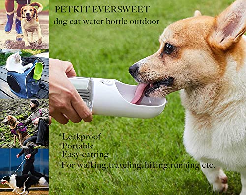 Hunde Trinkflasche im Bild: PETKIT EVERSWEET Tragbare Trinkflasche für Hund