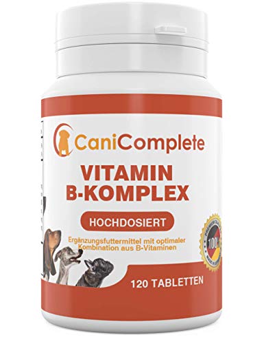 CaniComplete Vitamin B Komplex Hochdosiert Für Hunde