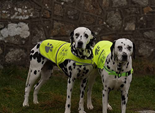 Hunde Warnweste im Bild: 4LegsFriend Hunde Sicherheitsweste mit Leinenbefestigungsring 5 Größen