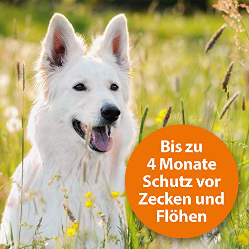 Hunde Zeckenhalsband im Bild: ARDAP Zecken- & Flohschutzhalsband für Hunde über 25kg