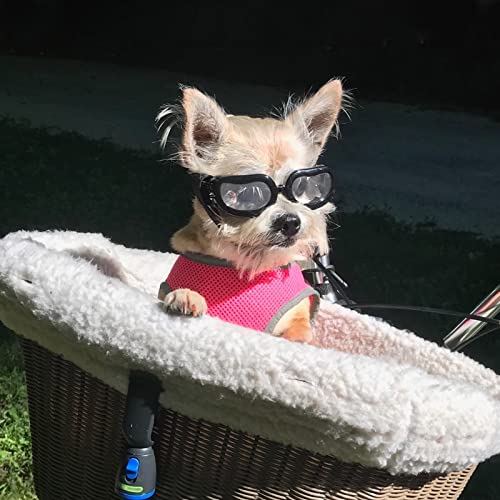 Hundebrille im Bild: Enjoying Kleine Hundebrille Schutzbrille für Hunde