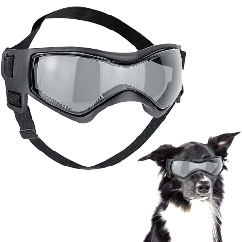 Newtic Hundebrille, Sonnenbrille für Hunde
