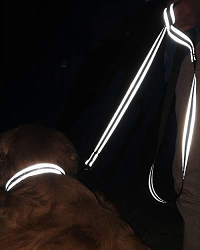 Hundeleine Nylon im Bild: Joytale Hundeleine, 1.8/1.5/1.2m Reflektierende Leine aus Nylon