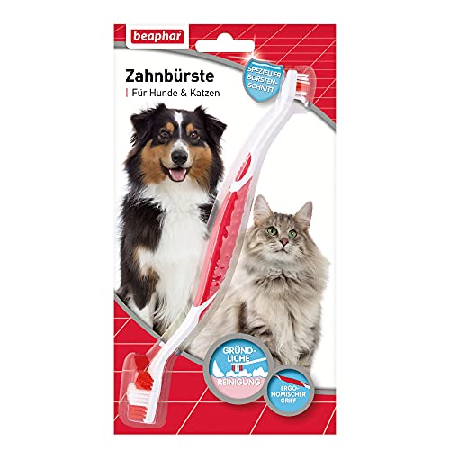 Hundezahnbürste unserer Wahl: beaphar Zahnbürste - Für Hunde und Katzen
