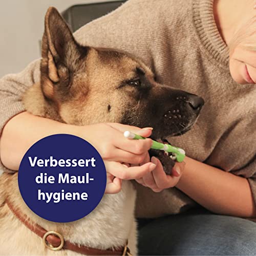 Hundezahnbürste im Bild: Canosept Zahnpflege Hund (3-teil...