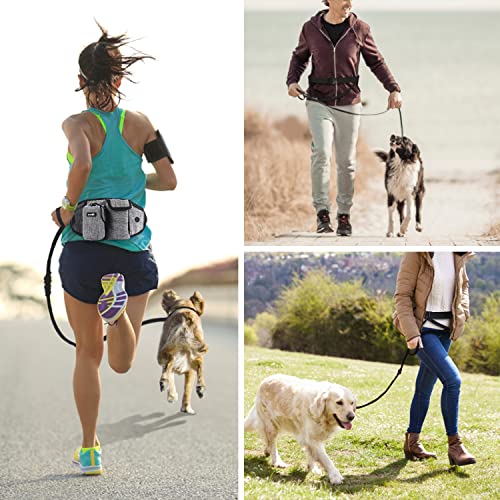 Joggingleine im Bild: pecute Joggingleine Hunde mit Bauchgurt