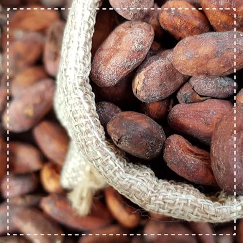 Kakao entölt im Bild: Biotiva Kakao Pulver Bio 300g