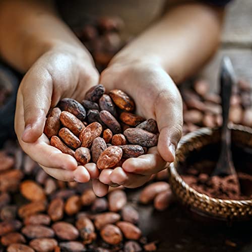 Kakaopulver im Bild: BioNutra Kakao-Pulver Bio 1000 g