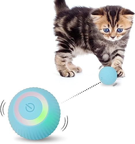 Mkitnvy Interaktives Katzenspielzeug Ball