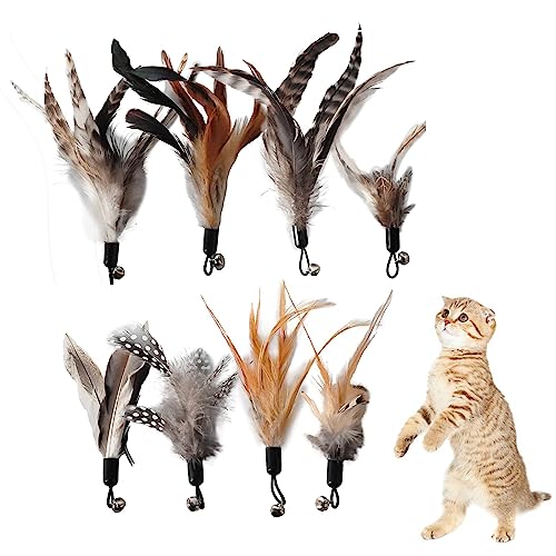 Kireida 8 Stück Cat Feather Toys Ersatz