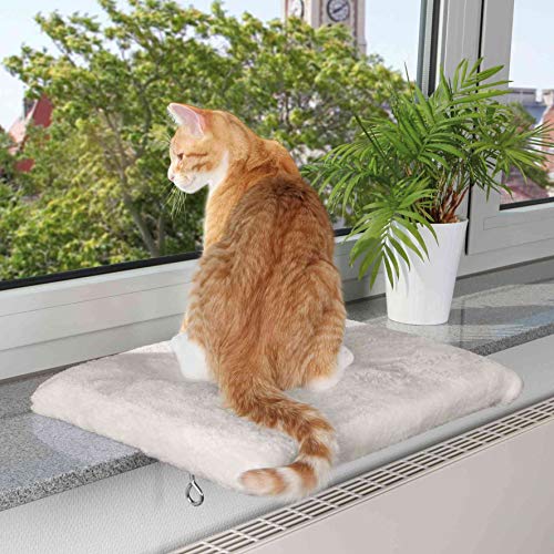 Katzen Fensterliege & Tipps – Worauf achten beim Kauf - StrawPoll