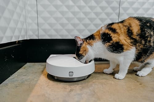 Katzen Futterautomaten im Bild: Cat Mate C500 Automatischer Futt...