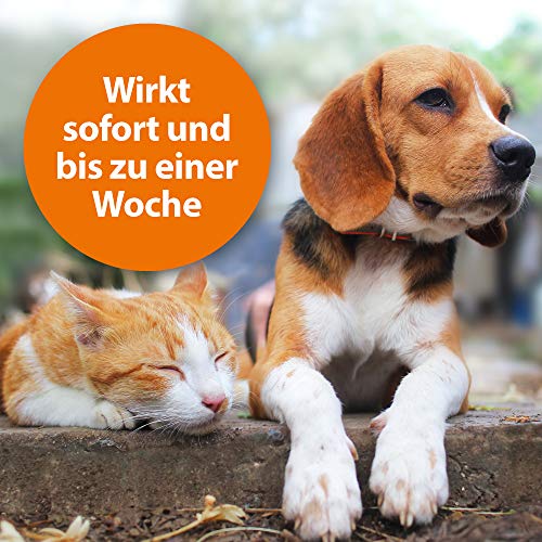Katzen-Ungezieferschutz im Bild: ARDAP Zecken und Floh Puder 150g