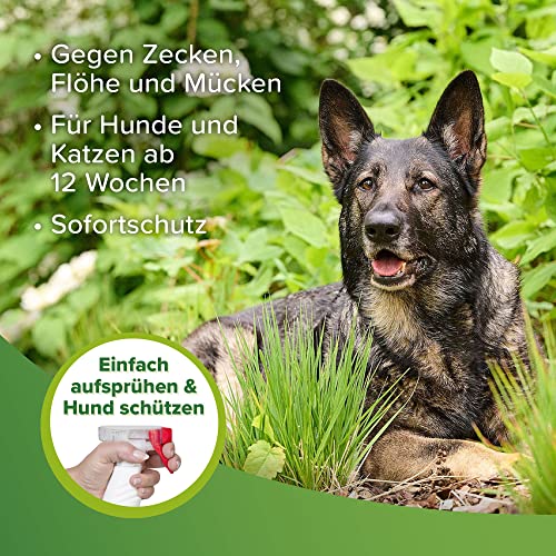 Katzen Zeckenspray im Bild: beaphar Zecken- und Flohschutz Spray Hund /