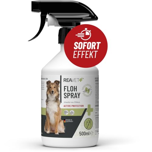 ReaVET Flohspray für Katzen & Hunde 500ml