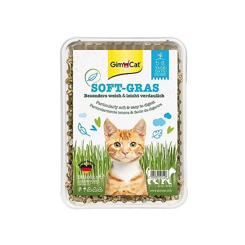 GimCat Soft-Gras - Zartes und vitaminreiches Katzengras