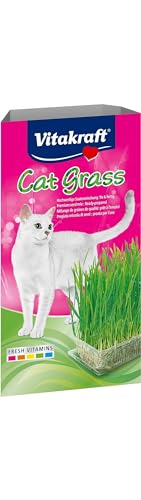 Vitakraft Cat Grass, frisches Katzengras